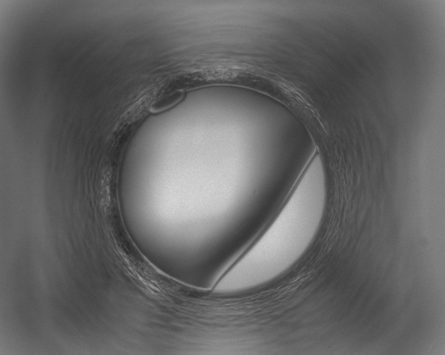 X0000054470501200507291051