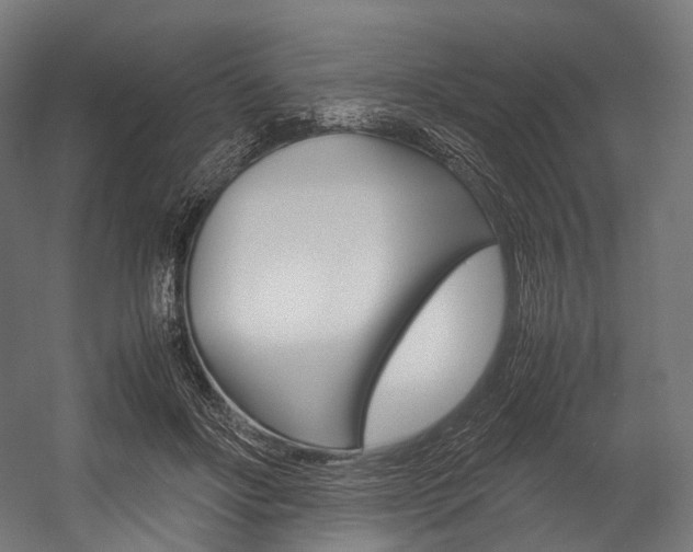 X0000054470502200507291051
