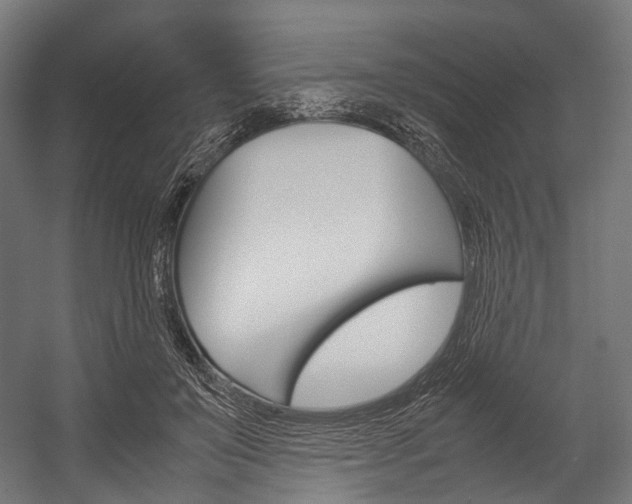 X0000054470503200507291051