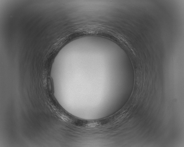 X0000054470505200507291051