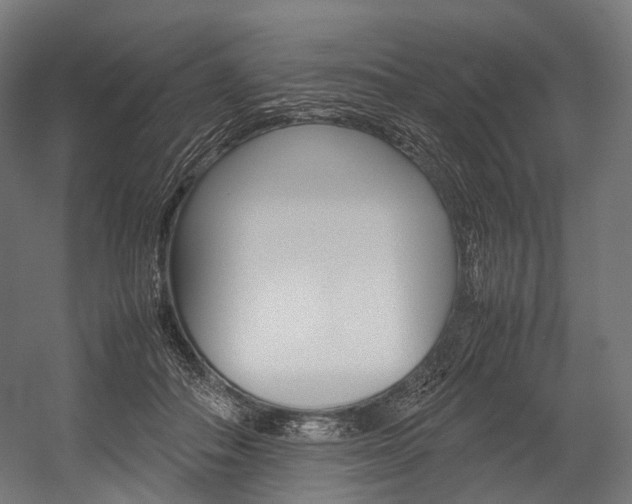 X0000054470506200507291051