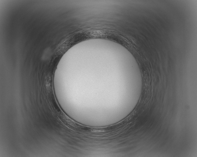 X0000054470507200507291051