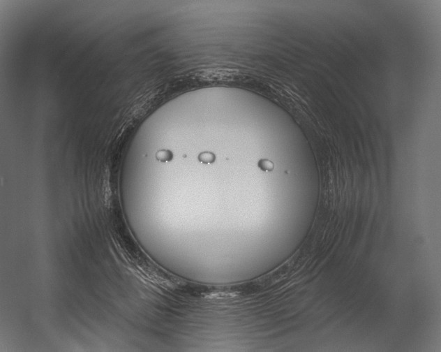 X0000054470508200507291051