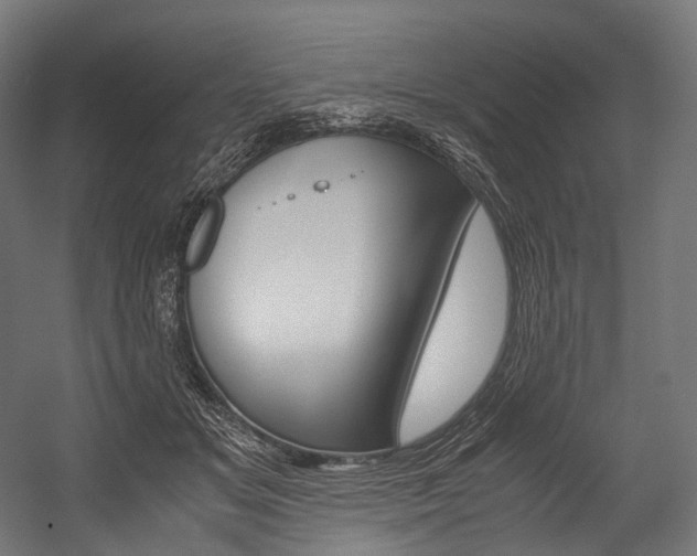 X0000054470509200507291051