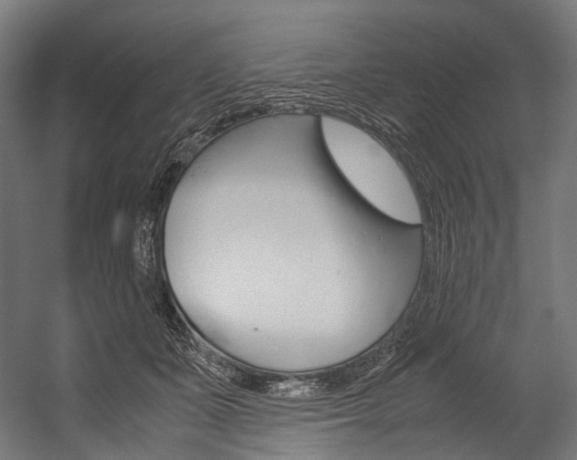 X0000054470511200507291051