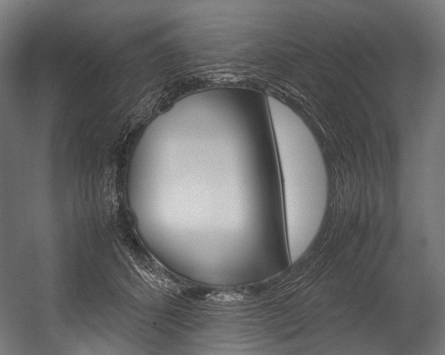 X0000054470512200507291051