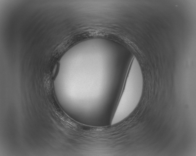 X0000054470513200507291051
