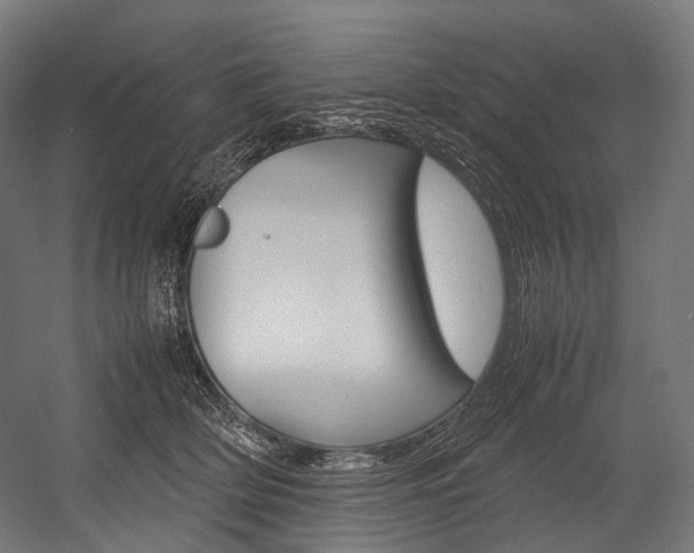 X0000054470514200507291051