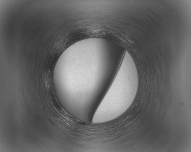 X0000054470515200507291051