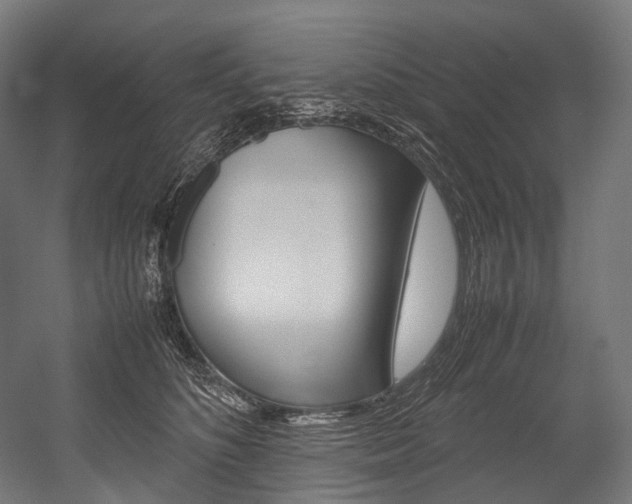 X0000054470516200507291051