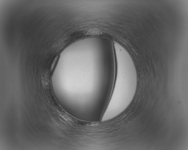 X0000054470517200507291051