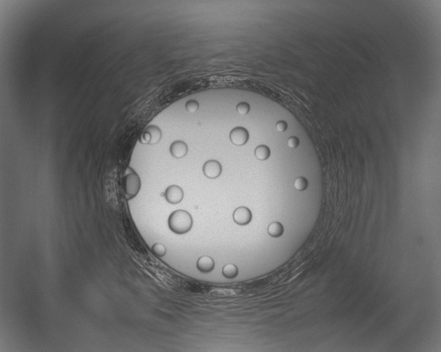 X0000054470519200507291051