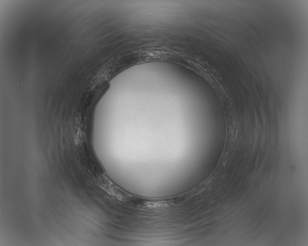 X0000054470520200507291051