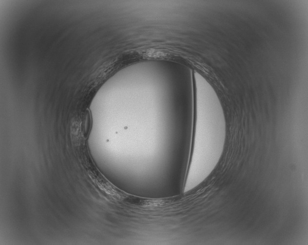 X0000054470521200507291051