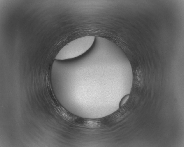 X0000054470522200507291051