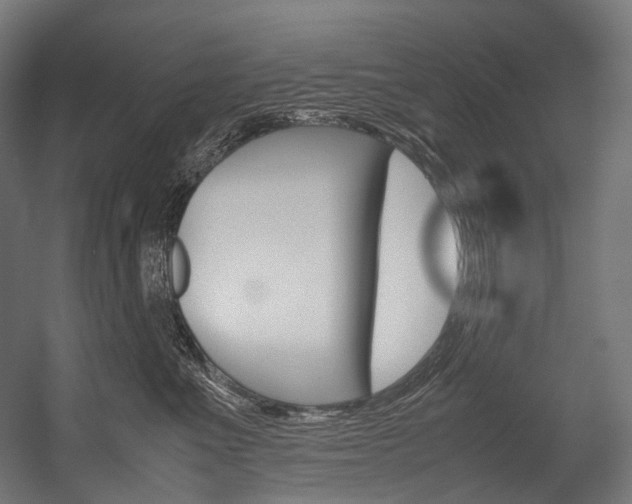 X0000054470523200507291051