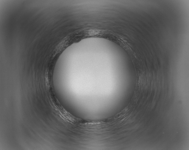 X0000054470524200507291051