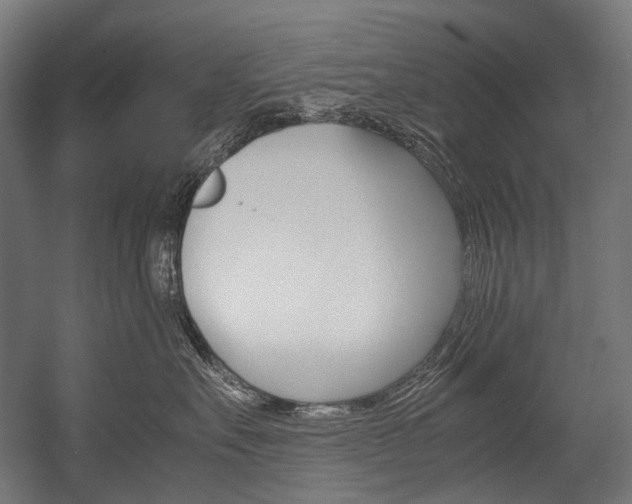 X0000054470527200507291051