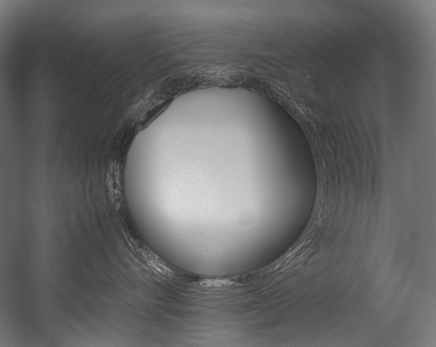 X0000054470528200507291050