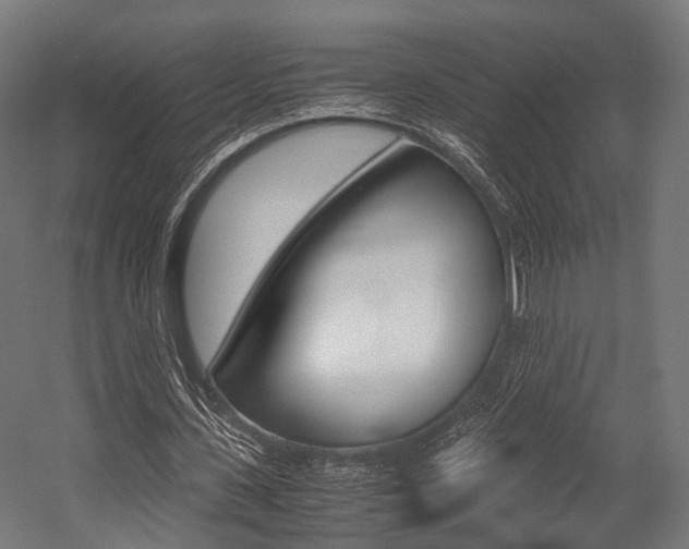 X0000054470531200507291050