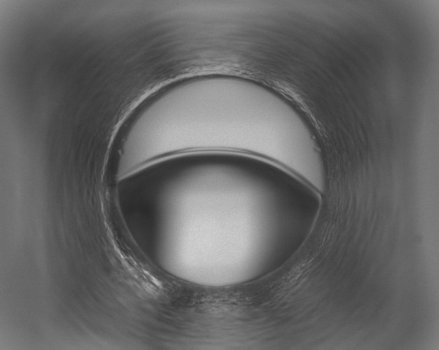 X0000054470532200507291050
