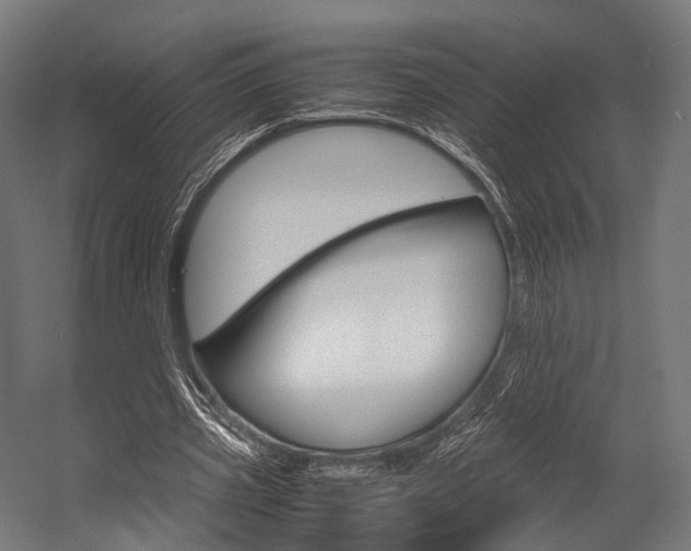X0000054470533200507291050