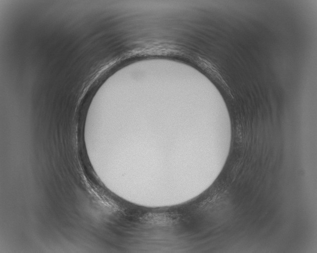 X0000054470534200507291050