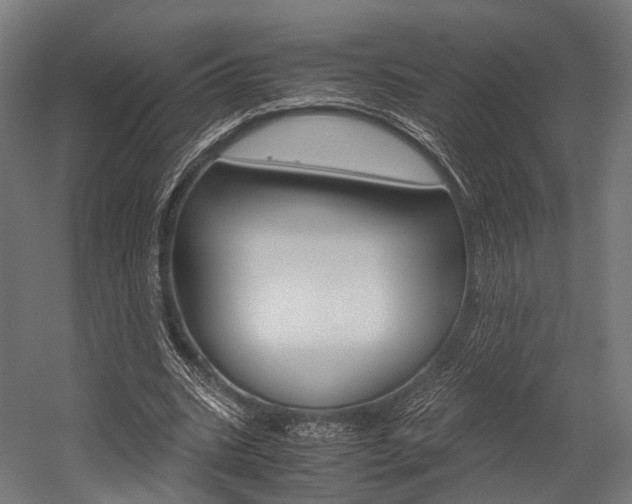 X0000054470535200507291050