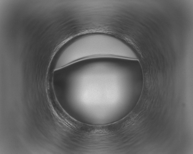 X0000054470536200507291050