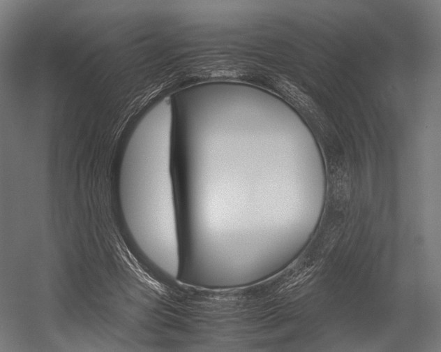X0000054470537200507291050