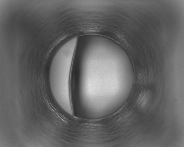X0000054470539200507291050