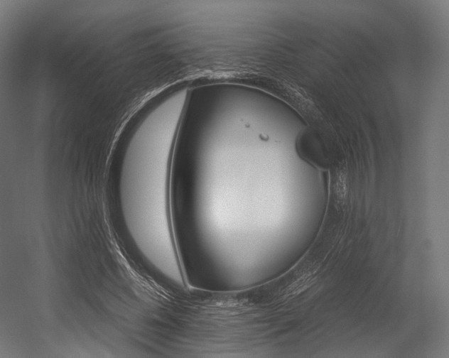 X0000054470540200507291050