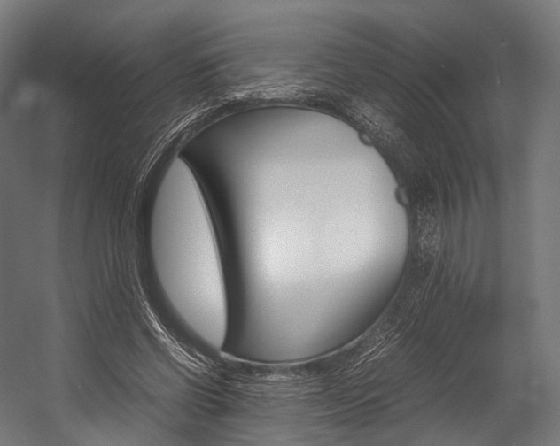 X0000054470542200507291050