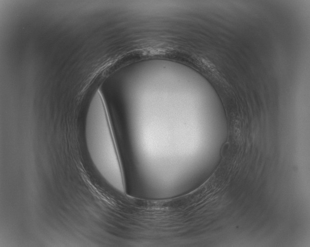 X0000054470543200507291050