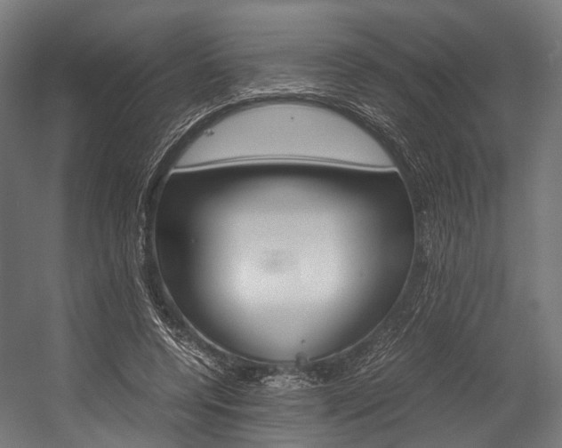 X0000054470544200507291050