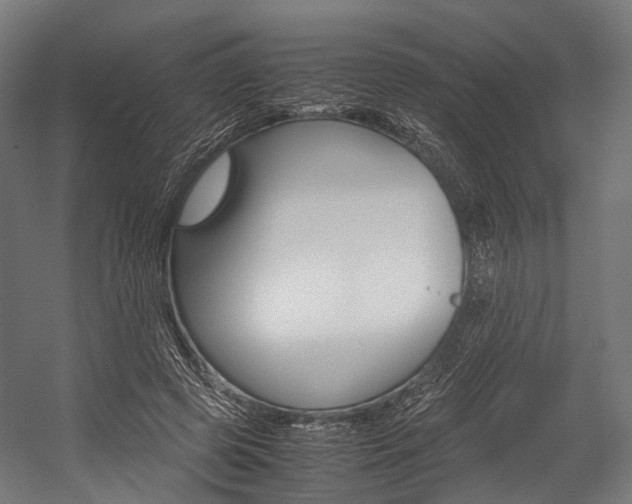 X0000054470545200507291050