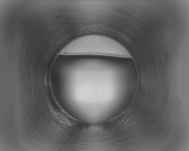 X0000054470546200507291050
