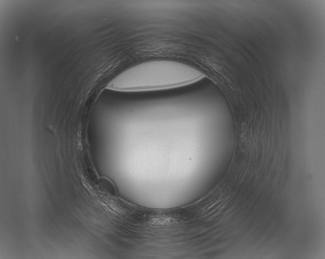 X0000054470547200507291050