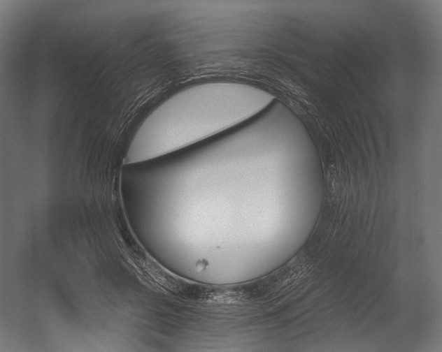 X0000054470550200507291050