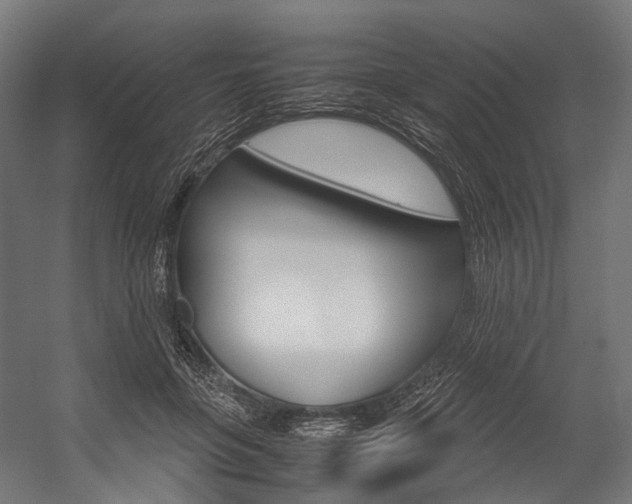 X0000054470551200507291050