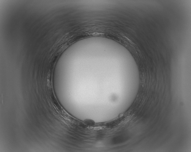 X0000054470553200507291050
