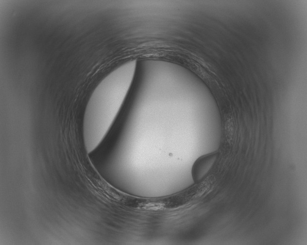 X0000054470554200507291050