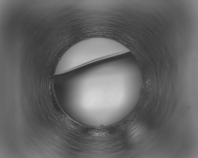 X0000054470555200507291050