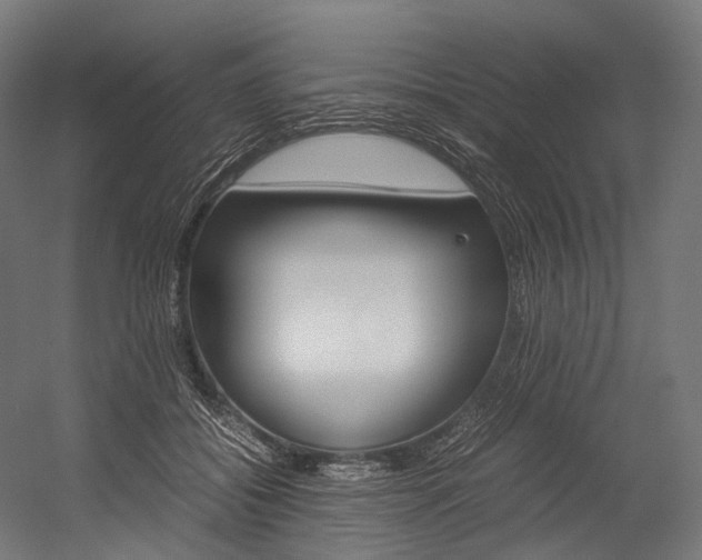 X0000054470556200507291050