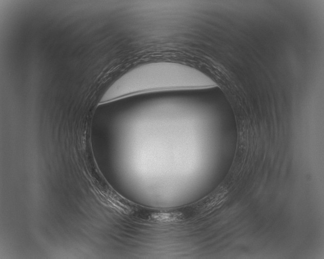 X0000054470558200507291050