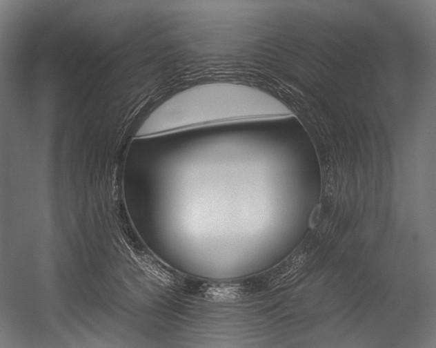 X0000054470560200507291050