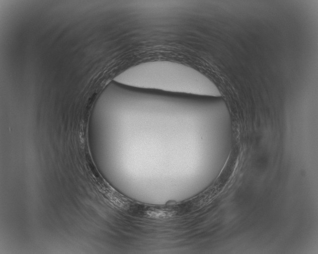 X0000054470561200507291050