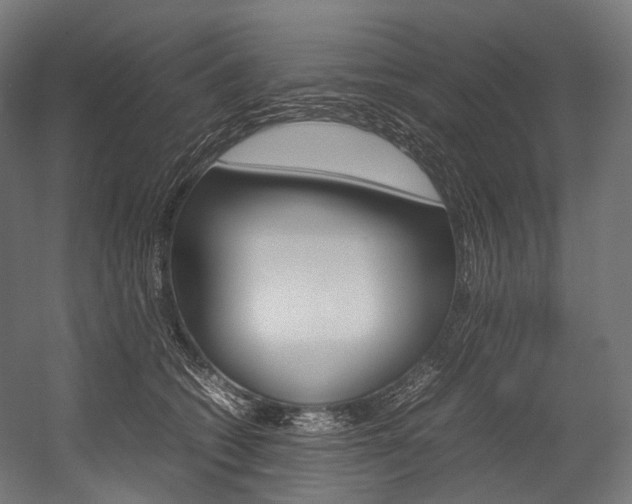 X0000054470562200507291050