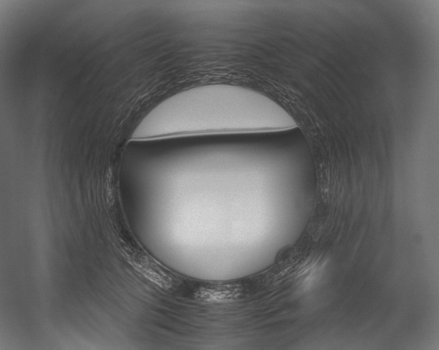 X0000054470563200507291050