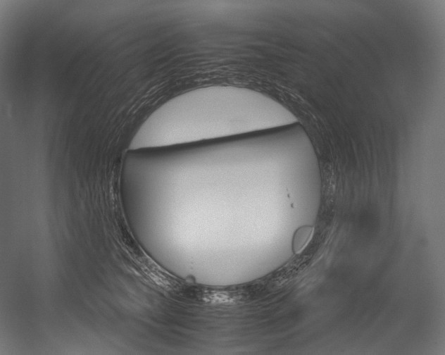 X0000054470565200507291050